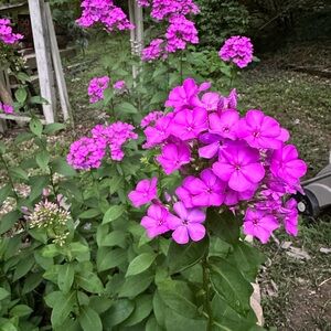 Meet your Posher, Gena